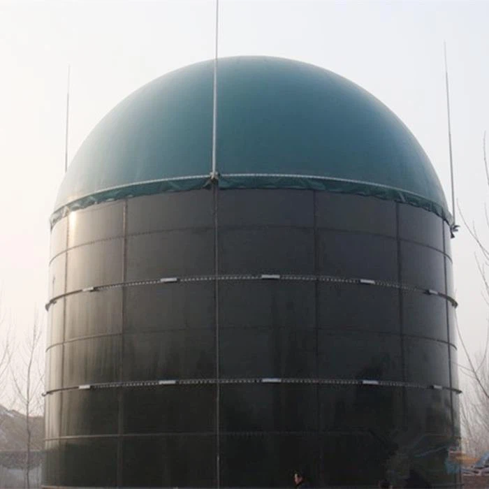 Dual Membrane Gas Domes On Digester