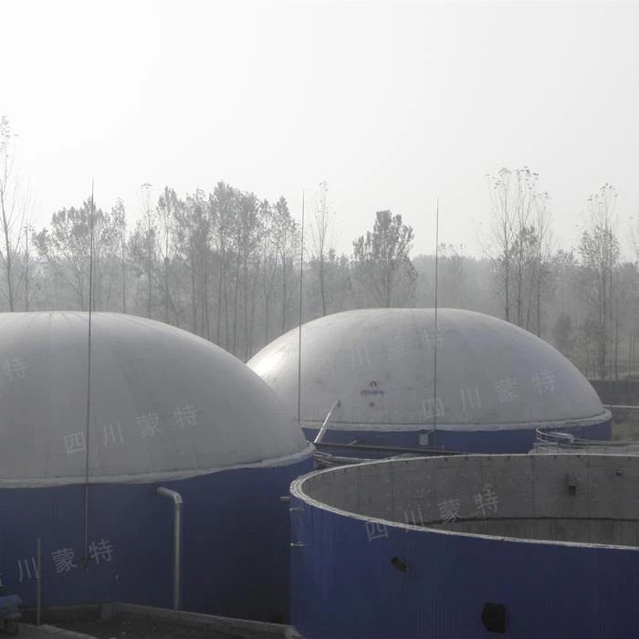 Roof Top Double Membrane Gas Holder